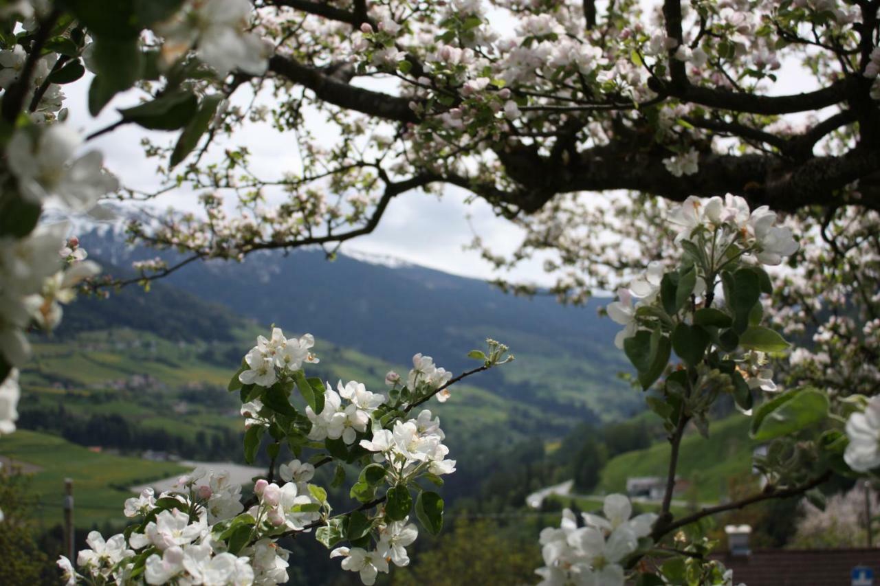 Stolznhof Appartement Schönberg im Stubaital Buitenkant foto